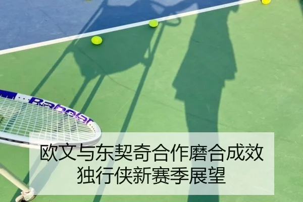 欧文与东契奇合作磨合成效 独行侠新赛季展望